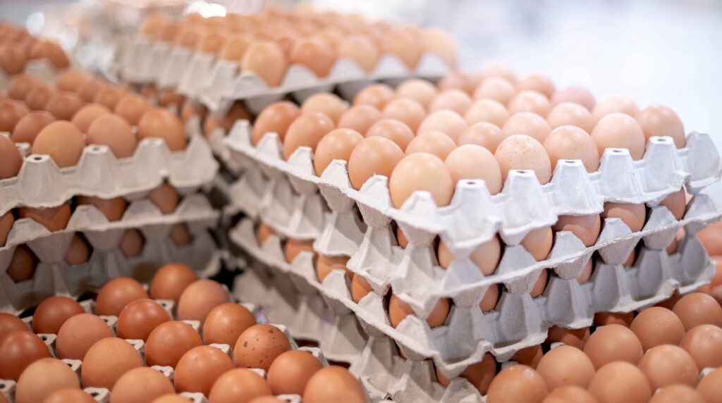 Photo of a large amount of eggs stacked in paper trays.