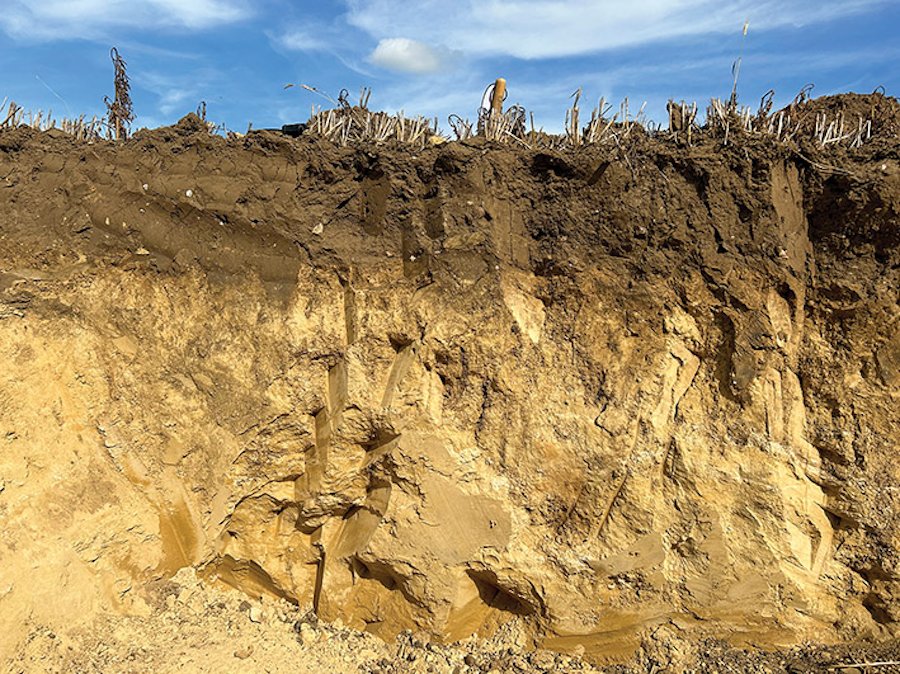 Image showing topsoil layer at Street Farm