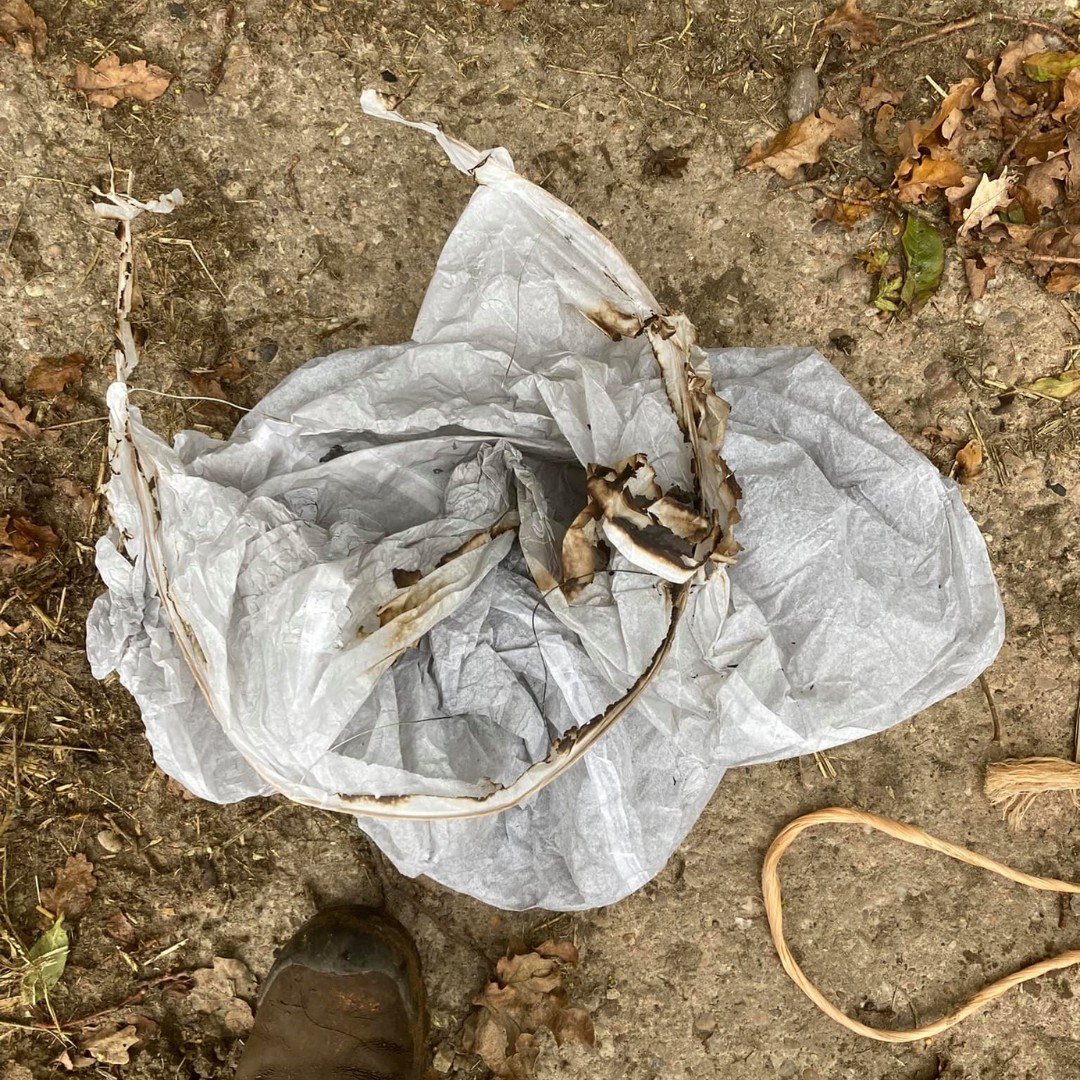 Has your local council banned sky lanterns? Farmers Guide
