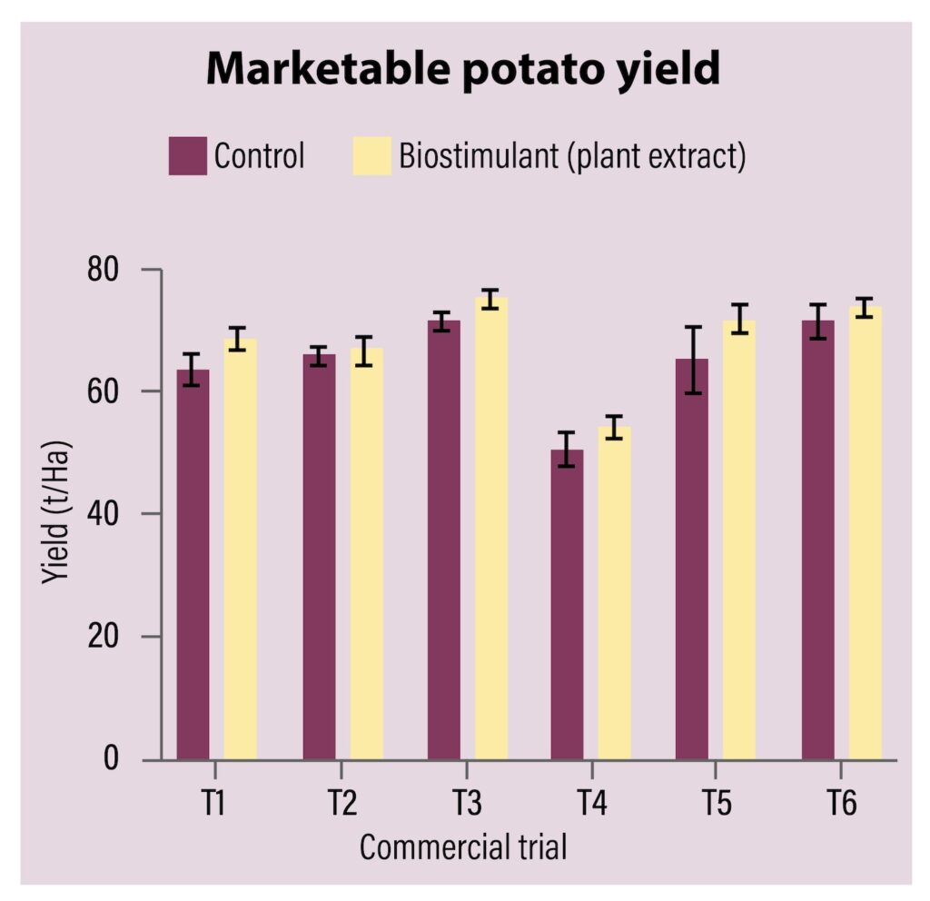 potato yield graph