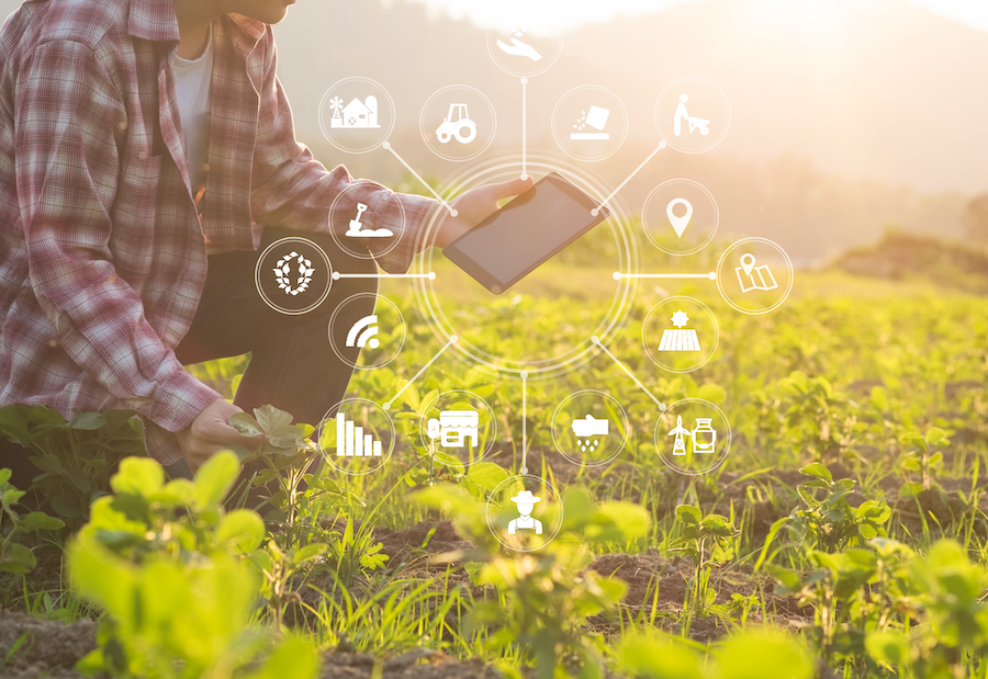 Nearly a fifth of farmers had invested or planned to invest in agri-tech in 2023, say NFU Mutual experts.