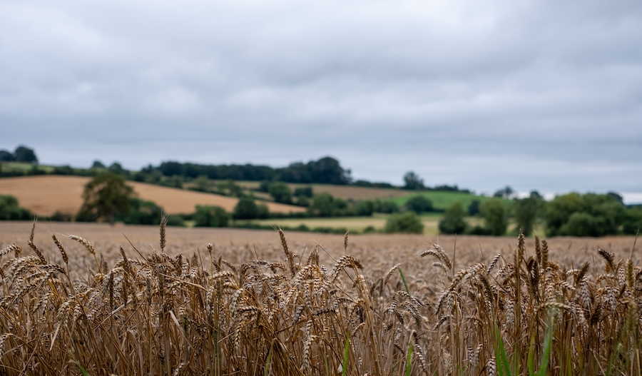 Farmers share concerns about loss of foodproducing land Farmers Guide