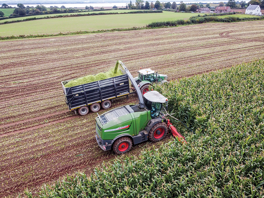 mazie harvesting on arable farming article