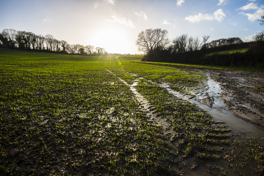 waterlogged field stock photo on arable farming article