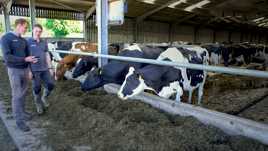 Smaxtec livestock article on farming website