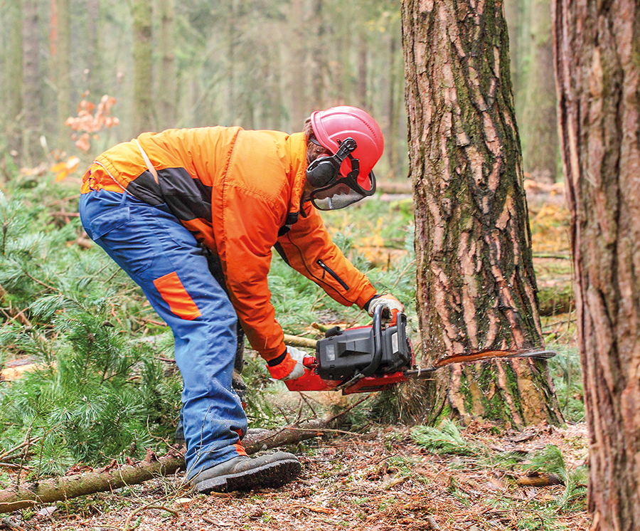 forestry health and safety article on farm business website