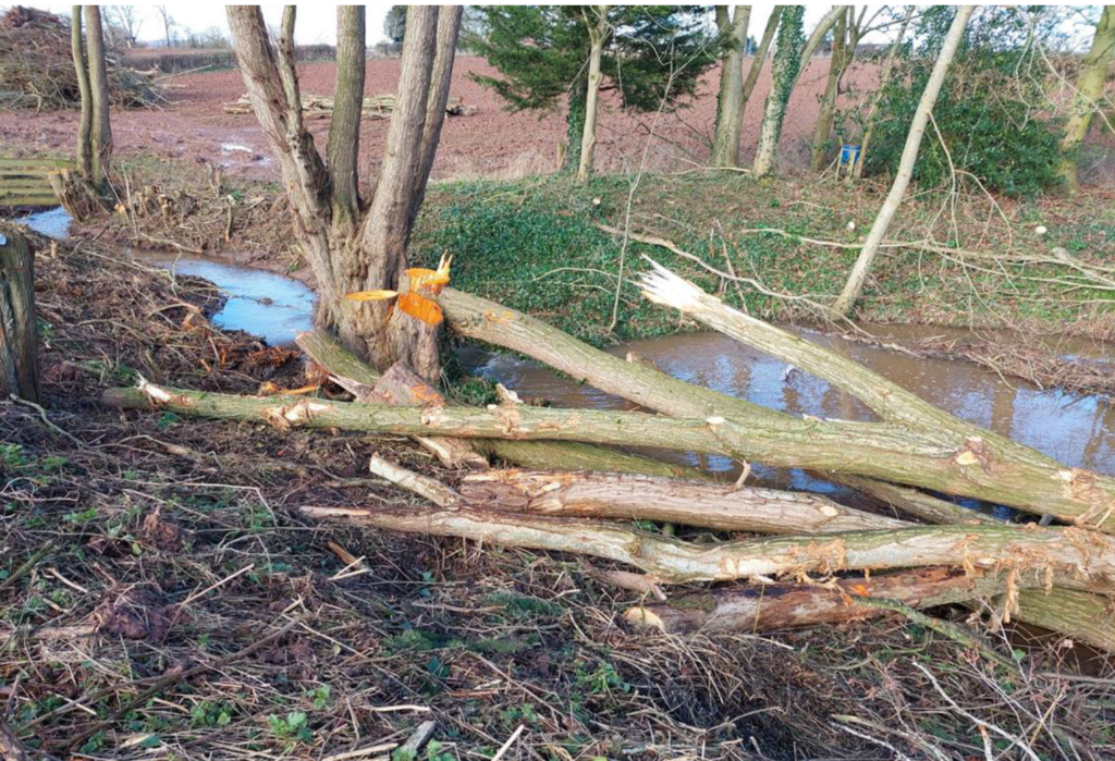 John Pudge Price, 69, of Day House Farm in Leominster, Herefordshire, pleaded guilty to illegally felling a large area of trees.