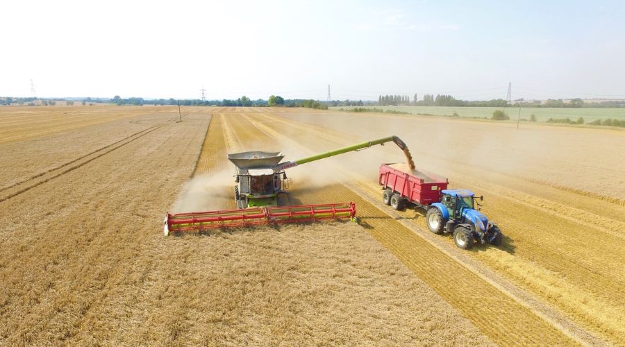 Claas combine harvester harvesting field