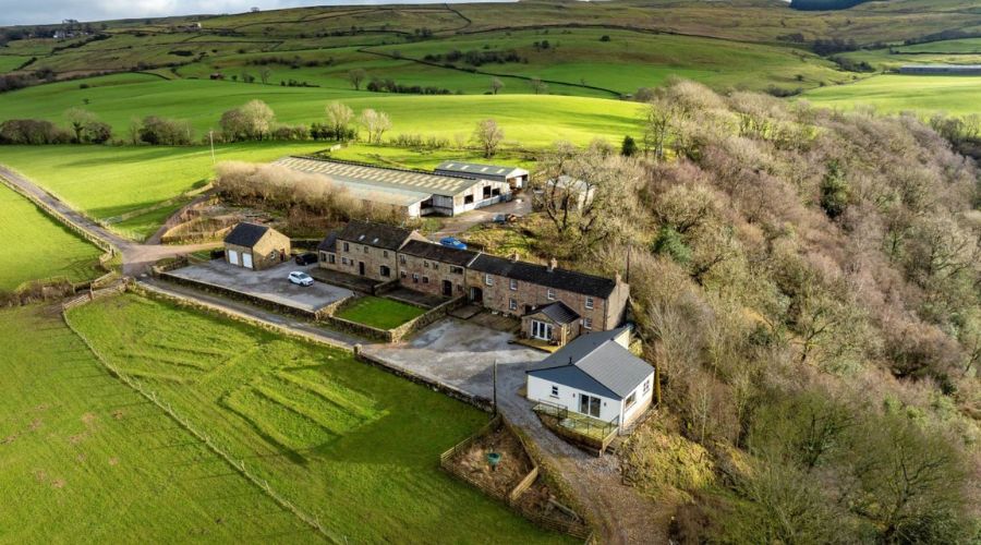 Oak Bank Farm, located near Kirkby Stephen, with biggest colony of red squirrels on was put on market for £1.15m by H&H Land and Estates.