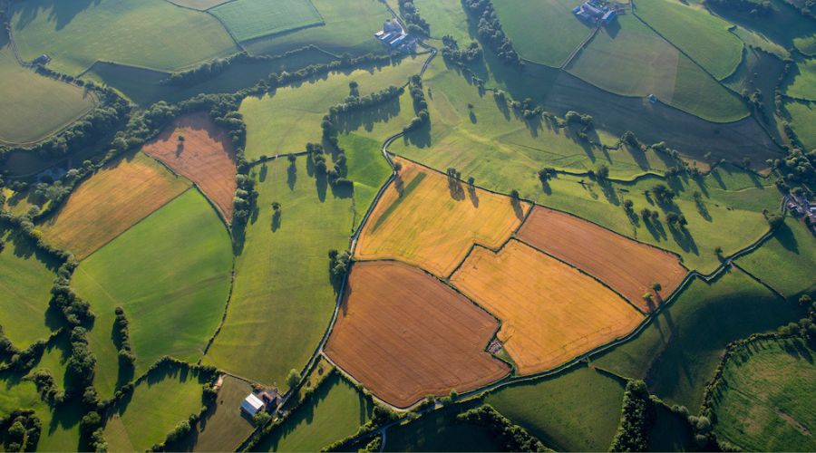 aerial view of British farmland