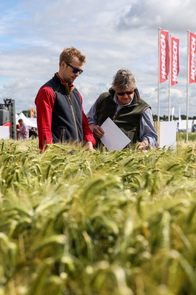Cereals 2023 visitors inspecting crop Horsch flag in background