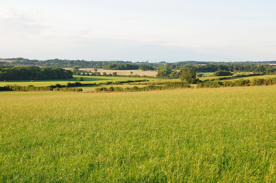 Landscape View of a Farmland in Rural Wiltshire