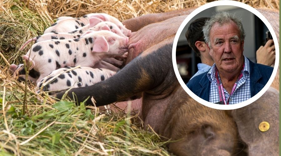 Jeremy Clarkson has opened up about his experience of becoming a pig farmer, ahead of the new season of Clarkson’s Farm, set to air in May.