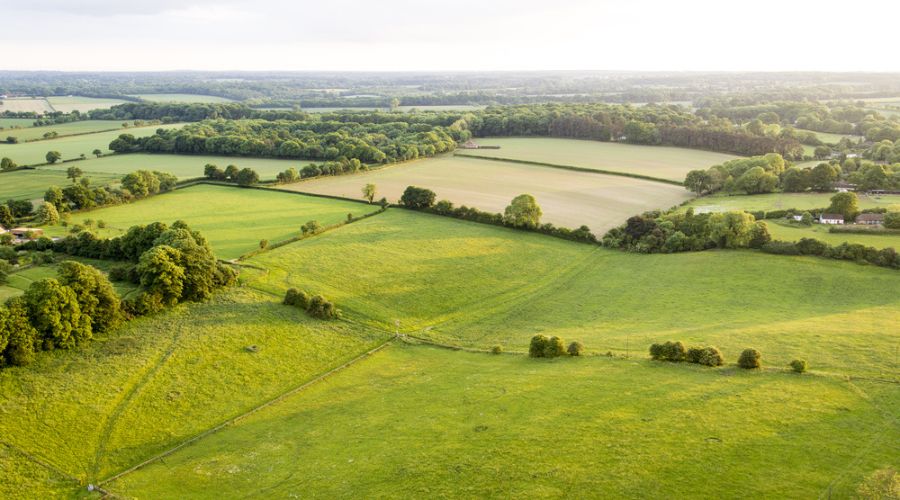 Farm and estate property consultancy Carter Jonas has called for clarity over the tax treatment of land put into environmental schemes.