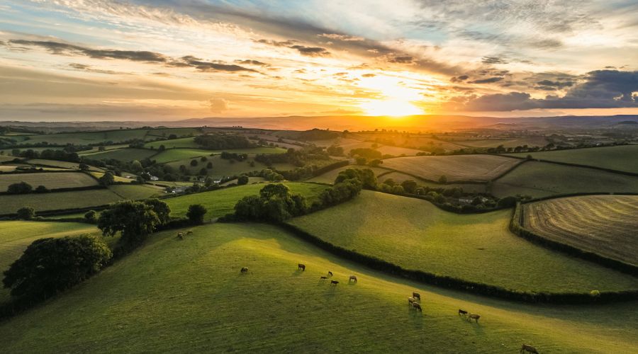 This spring could see a surge in farms and land for sale after weather held off some launches planned for the start of the year, a farm and estate property expert warns. 