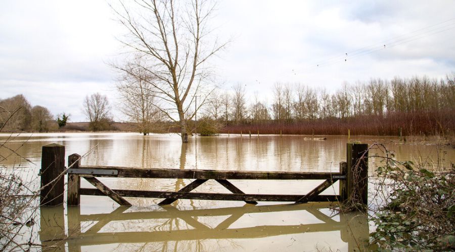 A fund to help farmers affected by flooding has just been launched. The Farming Recovery Fund is set to support farmers who suffered uninsurable damage to their land due to flooding earlier this year.
