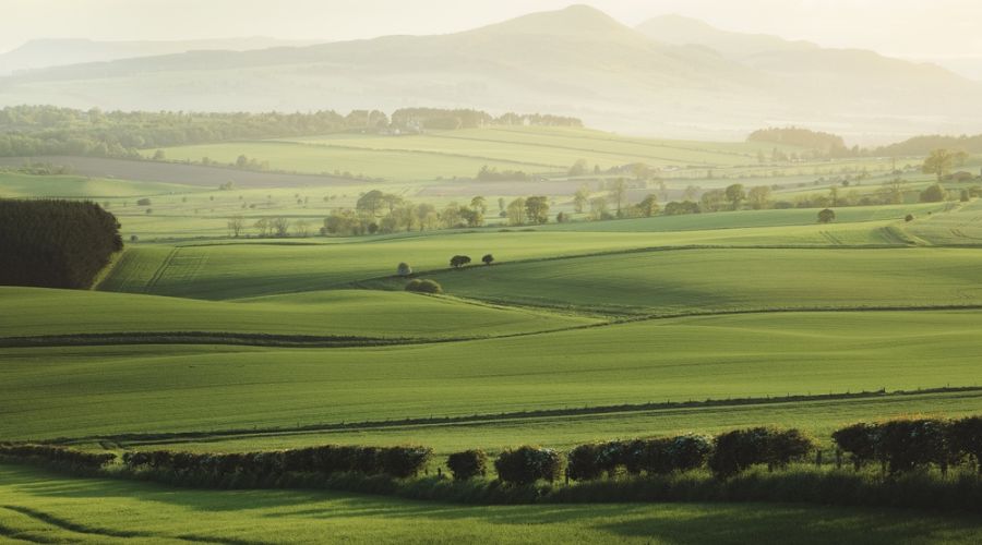 Strutt & Parker’s Farmland Database found out that 7,400 acres have been publicly marketed in the first three months of 2024.  