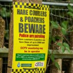 Poachers, particularly hare coursers, have become Dorset Police's Rural Crime Team priority.