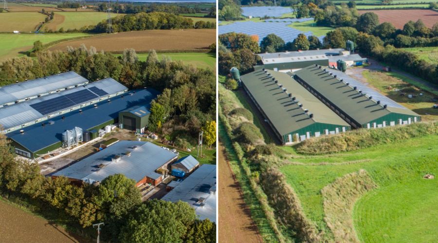 Millford Farm and Knaplock Poultry Farm in Somerset have been put on the market for almost £5 million. 