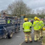 Shropshire vets, IVC Evidensia Farm Vets, are praised for quick actions that saved the lives of over 30 cattle from an overturned lorry.