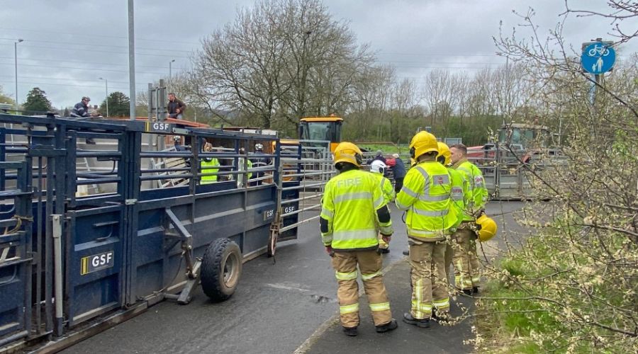 Shropshire vets, IVC Evidensia Farm Vets, are praised for quick actions that saved the lives of over 30 cattle from an overturned lorry.