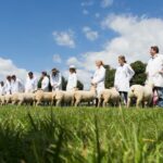 The Royal Bath & West Show, which hosted many national events, is getting ready for the Southdown Sheep Society National Show in May.