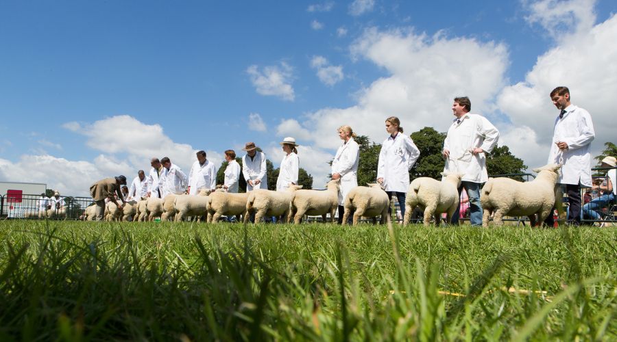 The Royal Bath & West Show, which hosted many national events, is getting ready for the Southdown Sheep Society National Show in May.