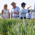 Over 600 individual crop plots from 25 exhibitors will give Cereals visitors access to the very latest in crop breeding, protection, nutrition, and science.