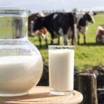 Today marks World Milk Day, which is an international awareness day that celebrates the importance of milk and dairy products.