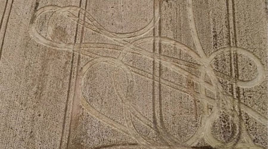 wheat field damaged tyre tracks caused by a joyrider