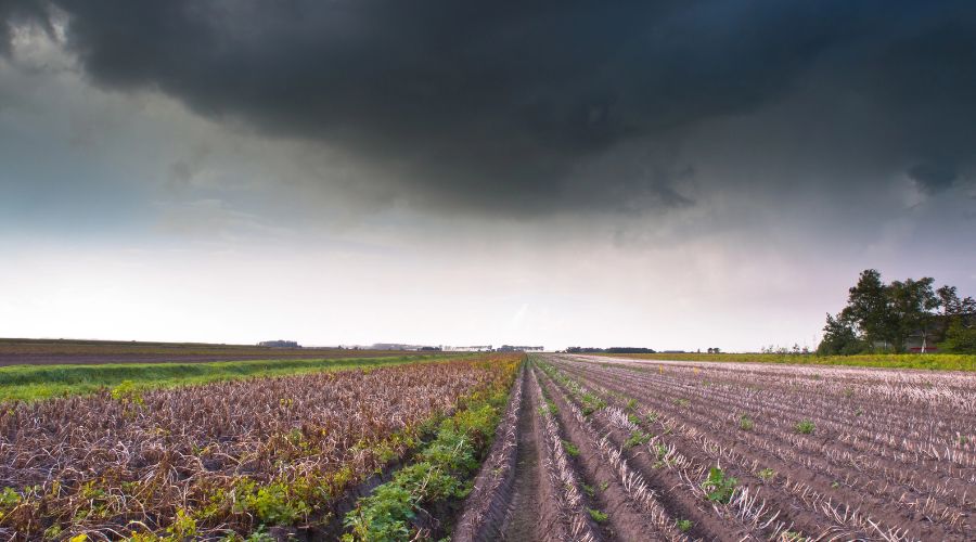 Storm Floris is set to bring strong winds and heavy rainfall across the northern half of the UK. Check how to protect yourself and your farm.