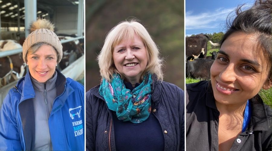 Claire Whittle, Jane Barnes and Judy Dilks have been shortlisted for the Dairy Industry Woman of the Year award 2025.