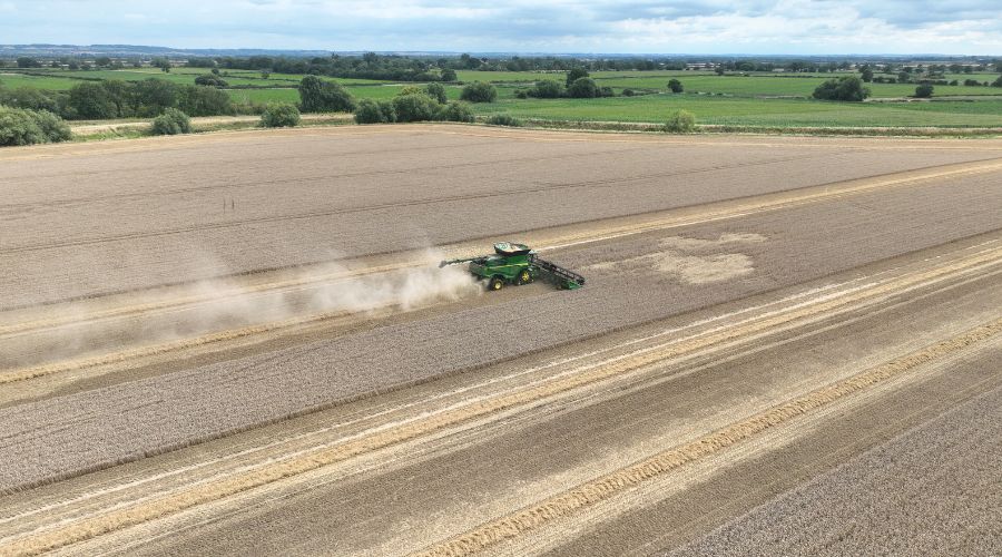 Combination of lower yields and falling grain prices points to significant financial challenges for arable farms, AHDB harvest report has found.