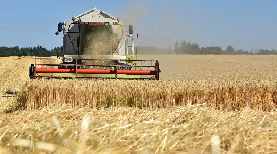The Recommended List winter barley harvest results have just been published, reporting yields above the five-year average, AHDB said.