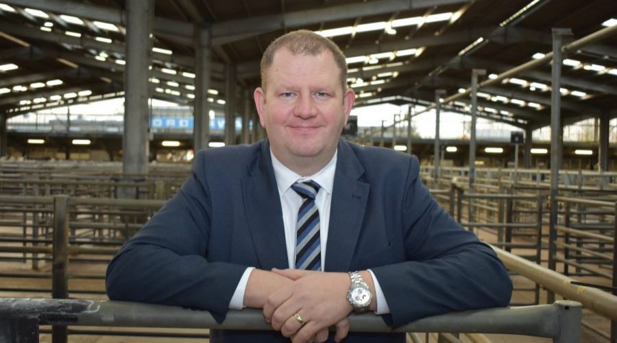 neil wilson, chief exec of IAAS, leaning up against a farm gate