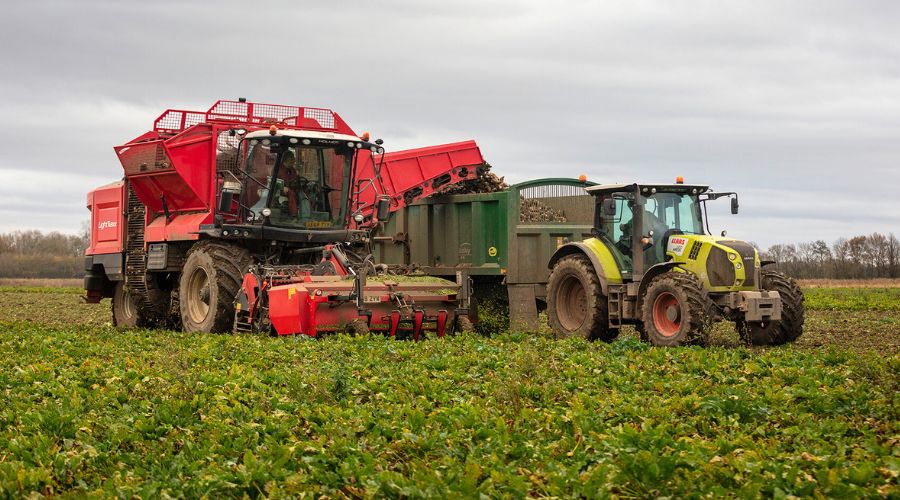 Sugar beet growers who want to learn about the domestic sugar supply chain are invited to sign up for the 2025/26 Sugar Industry Programme.
