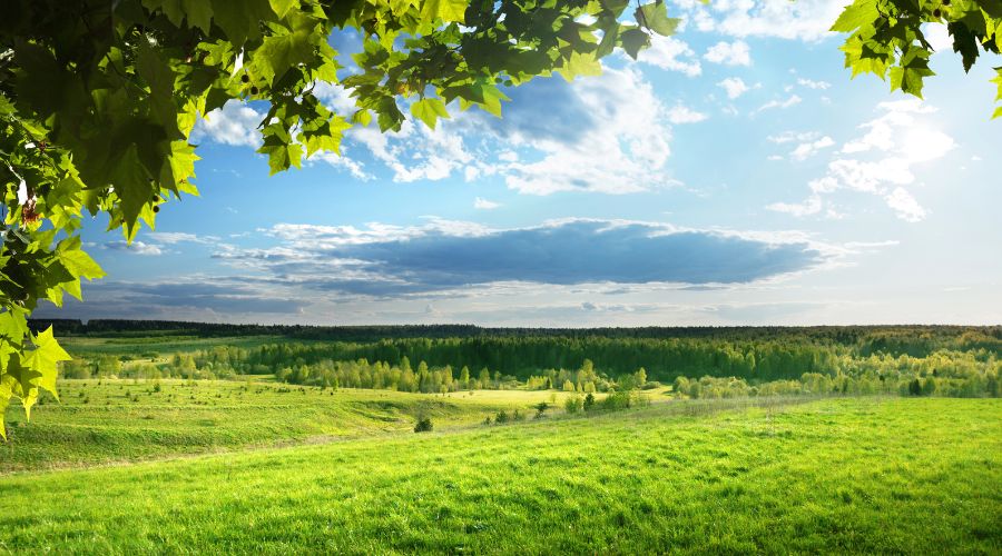 NFU Mutual has announced a new partnership with Environmental Farmers Group (EFG) to help farmers manage the risks of devoting land to environmental and regenerative schemes within natural capital markets.