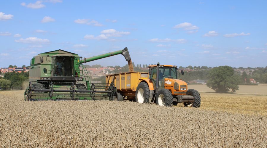orange renault tractor and John Deere combine harvesting wheat with blue skies behind