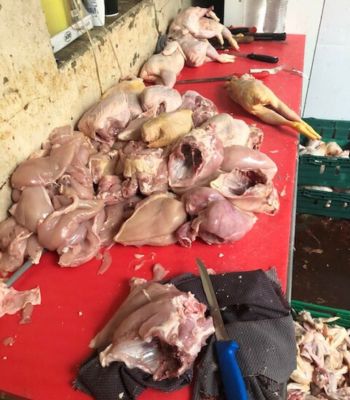 Men from Fears Animal Products were sentenced to nearly nine years in prison for diverting meat not fit for human consumption back into the human food chain.