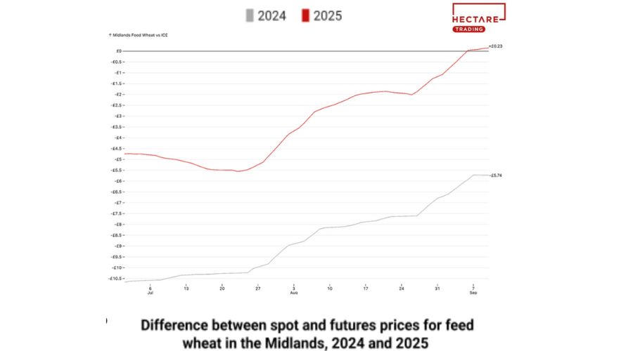 More UK farmers are turning to strategic selling of their gran to manage risk and secure margins, according to Hectare Trading.