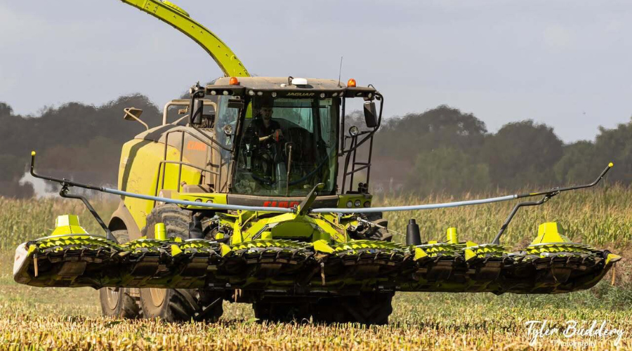 Harvest at McGuire and McGrath & Sons farm, photo by Tyler Buddery Photography.