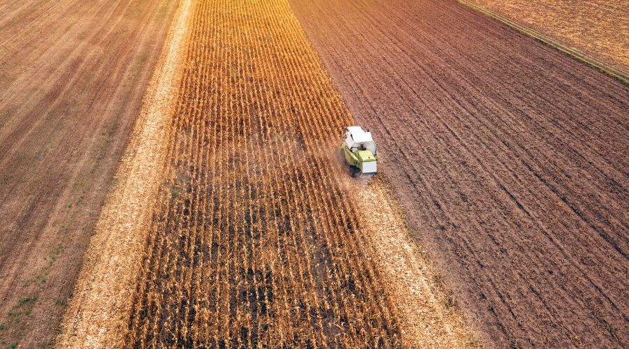 Maize Growers Association said that some growers have begun maize harvest up to three weeks earlier than usual.