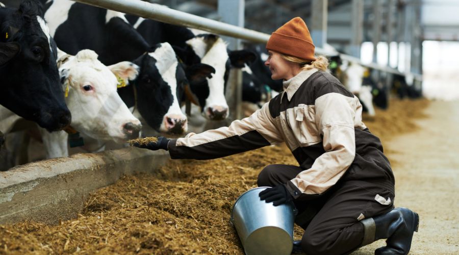 Conditions vary by region, leaving many producers making tough decisions on fodder and livestock, says Philip Cosgrave, Yara’s grassland specialist.
