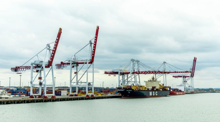 According to a new report by Parliament’s EFRA Committee, DEFRA has no effective system of oversight for biosecurity border controls.