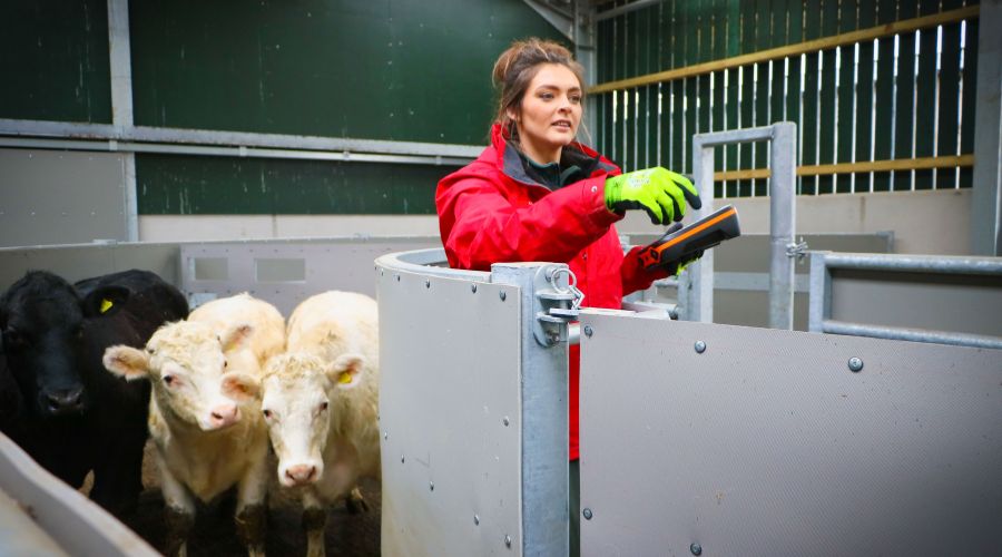 The Introduction to Farming and Rural Skills course, hosted by The King’s Foundation, is a seven-week programme for future farmers.