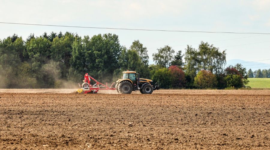 Autumn 2024 offered favourable conditions for tackling grassweeds, and many growers have already seen populations decline.