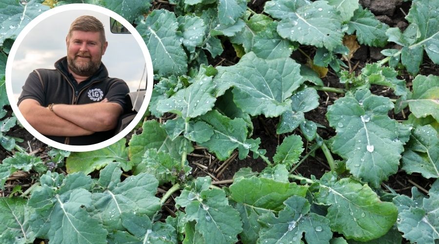 There is an excellent opportunity to establish oilseed rape and capitalise on this break crop, according to Limagrain Field Seeds.