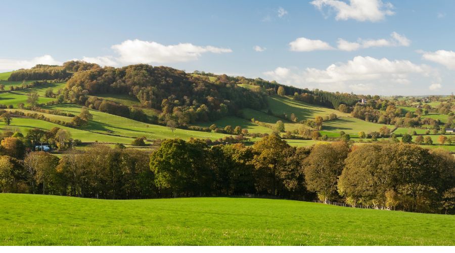 Farming community leaders have responded to the Welsh Government’s newly published assessment of the Sustainable Farming Scheme (SFS).