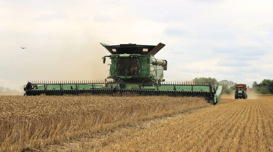Extreme weather conditions have made the 2025 harvest especially challenging for many growers, with AHDB reporting considerable variability as the key finding.