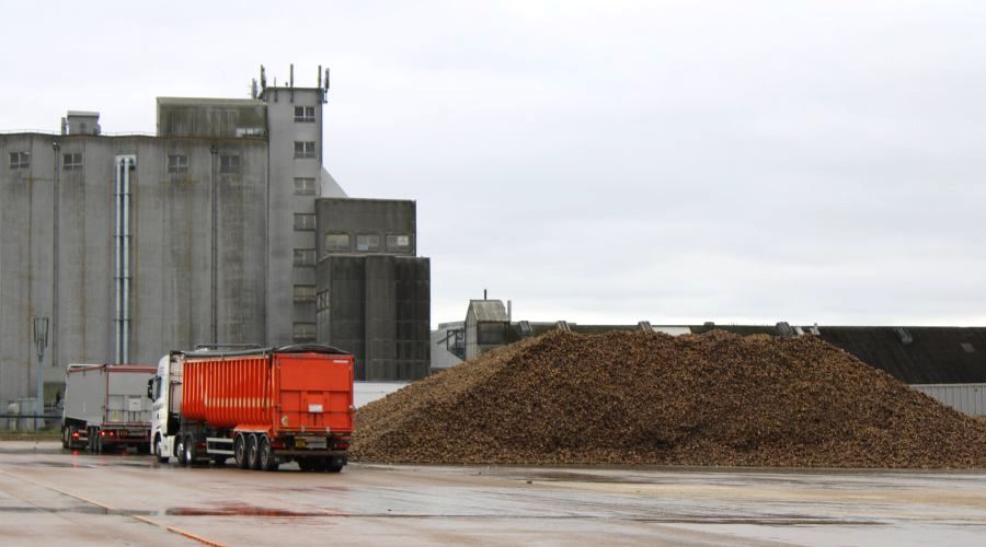Bury St Edmunds British Sugar factory with lorry and beet pile in the foreground